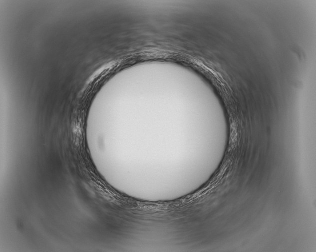 X0000115681254200911120940
