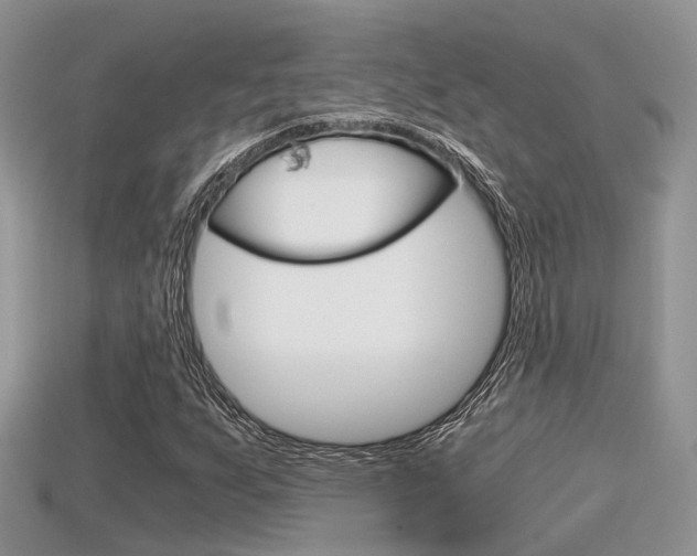 X0000115681255200911120940