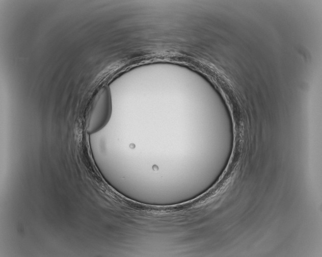 X0000115681257200911120940