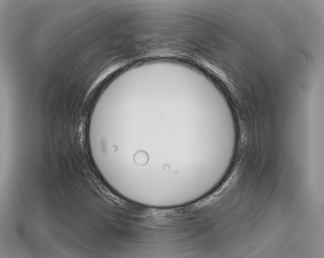 X0000115681258200911120940