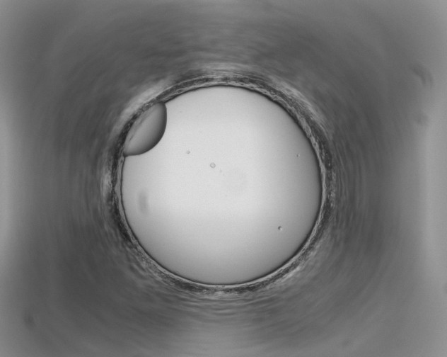 X0000115681261200911120940