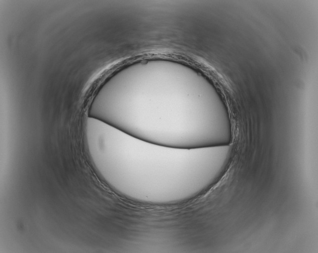 X0000115681262200911120940