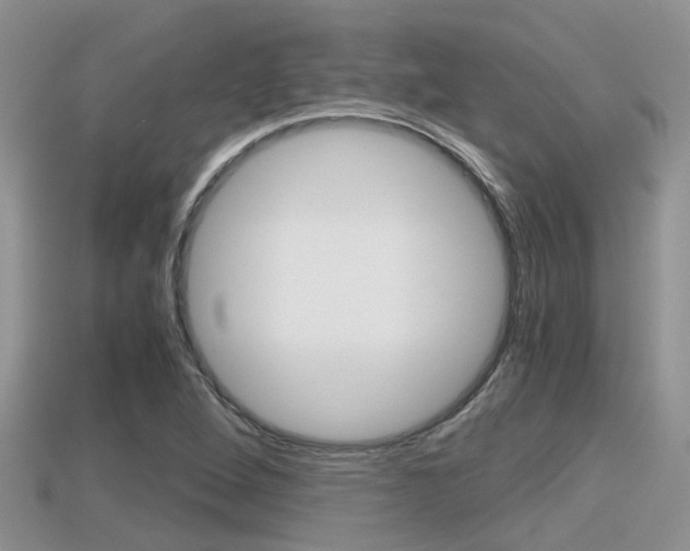 X0000115681264200911120940