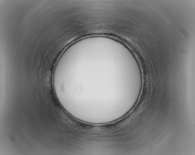 X0000115681265200911120940