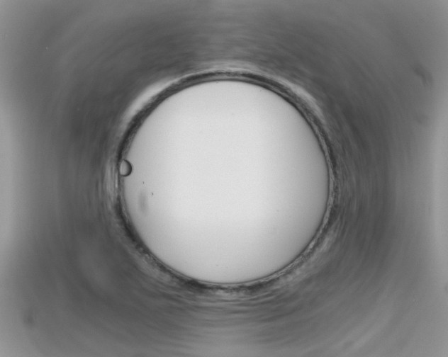 X0000115681271200911120940