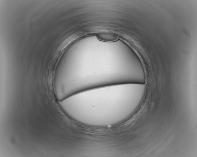 X0000115681273200911120939
