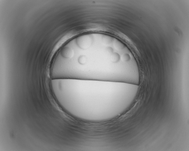 X0000115681274200911120939