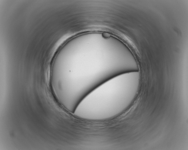 X0000115681275200911120939