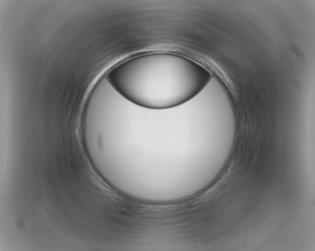 X0000115681276200911120939