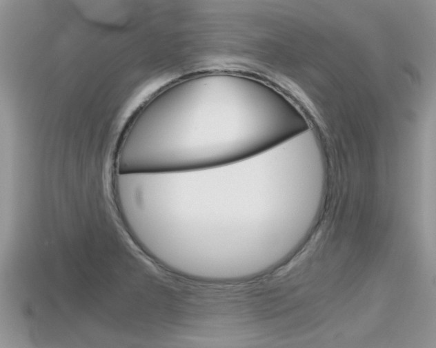 X0000115681277200911120939