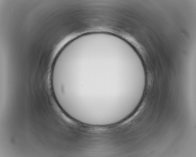X0000115681278200911120939