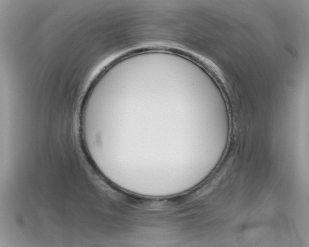 X0000115681279200911120939