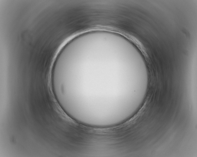X0000115681280200911120939