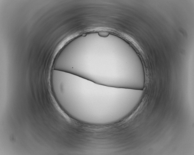 X0000115681282200911120939