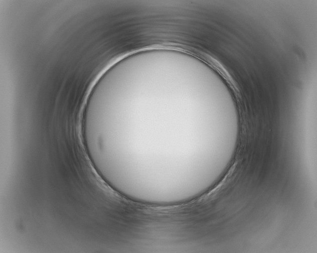 X0000115681284200911120939