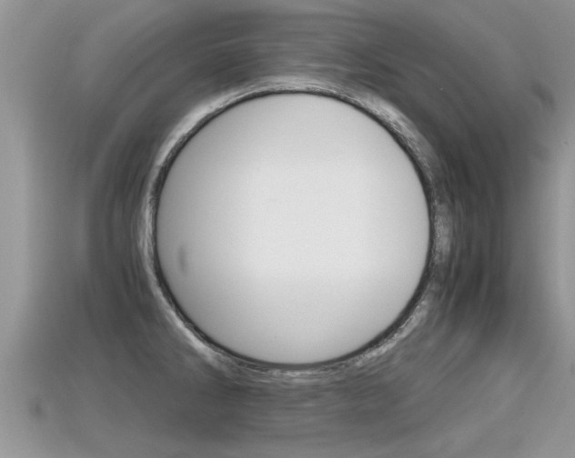 X0000115681286200911120939