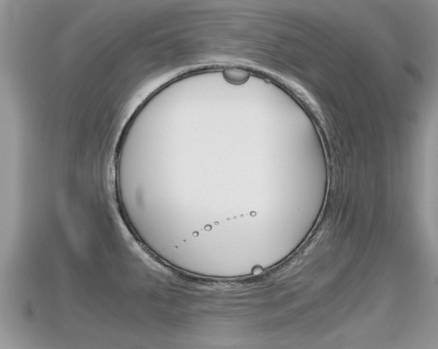 X0000115681287200911120939