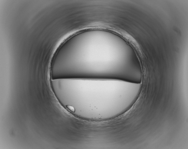 X0000115681288200911120939