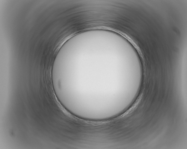 X0000115681289200911120939