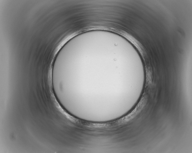 X0000115681290200911120939