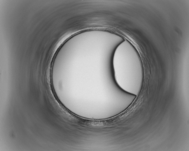 X0000115681291200911120939
