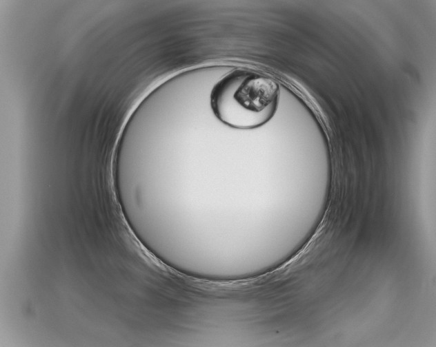 X0000115681292200911120939