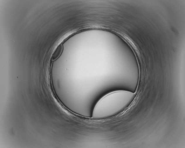 X0000115681293200911120939