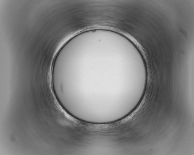 X0000115681294200911120939