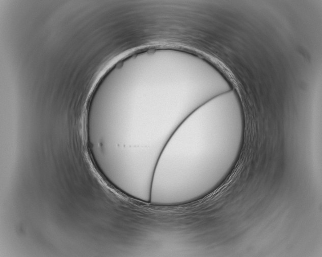 X0000115681295200911120939