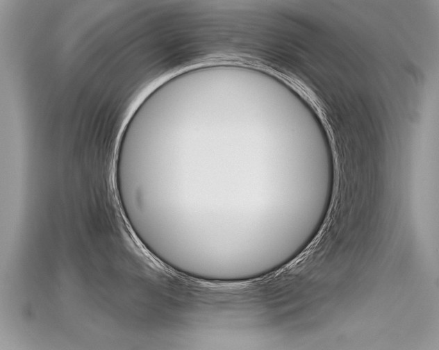 X0000115681296200911120939