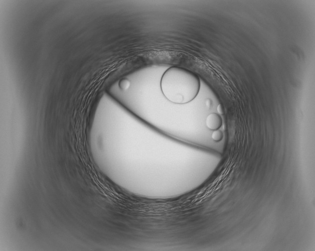 X0000115681297200911120938