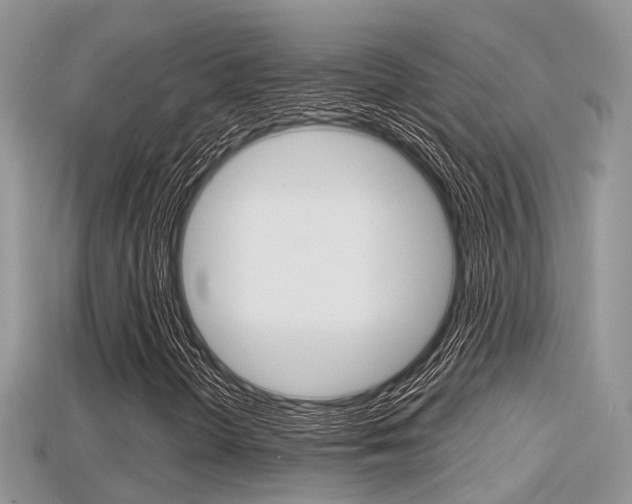 X0000115681298200911120938