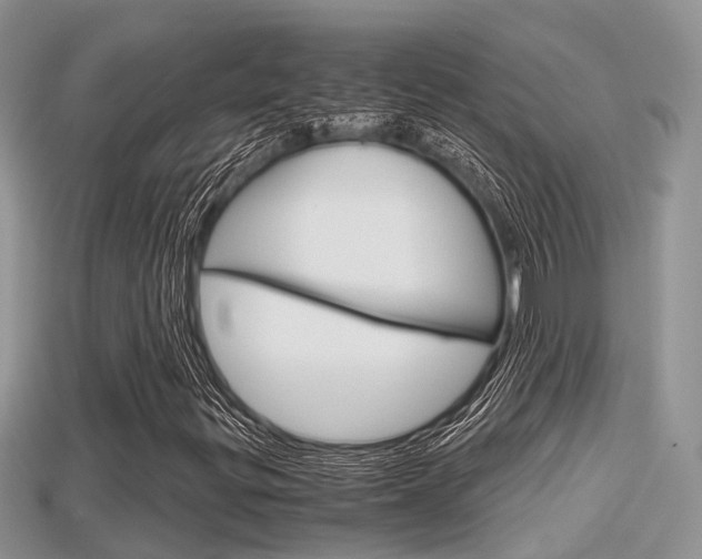 X0000115681299200911120938