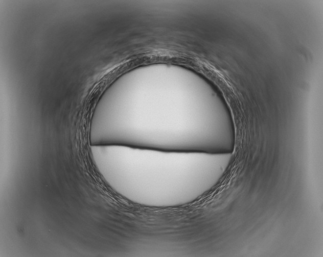 X0000115681303200911120939