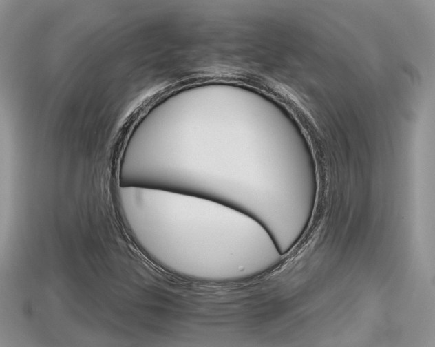 X0000115681307200911120939