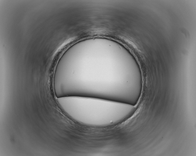 X0000115681309200911120939