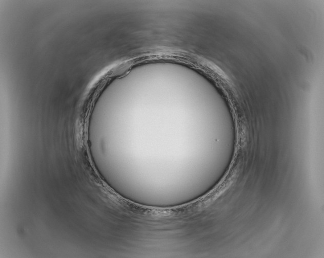 X0000115681310200911120939