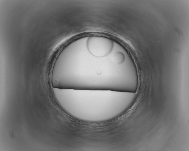X0000115681311200911120939