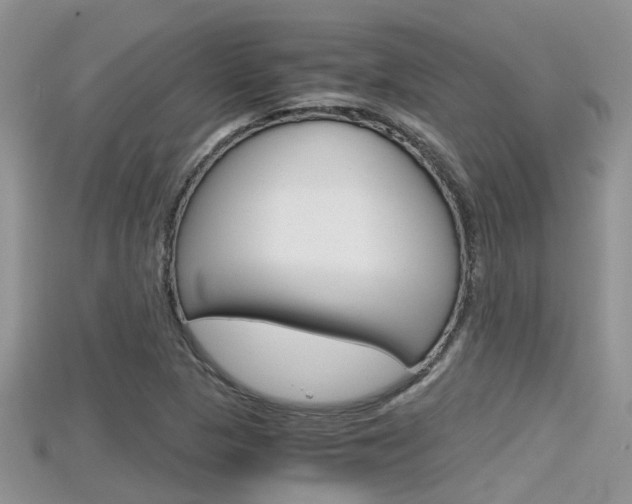 X0000115681313200911120939