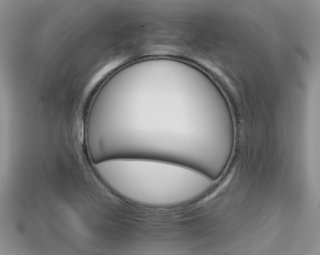 X0000115681317200911120939