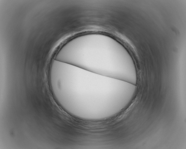 X0000115681318200911120939