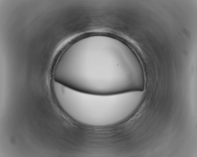 X0000115681319200911120939