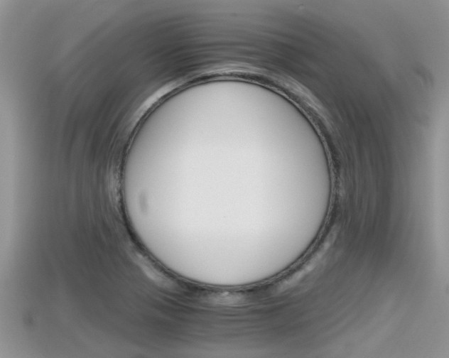 X0000115681321200911120939