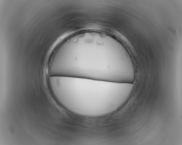 X0000115681323200911120939