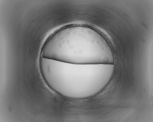 X0000115681327200911120939