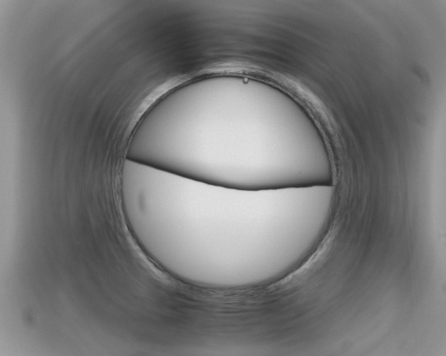 X0000115681329200911120939