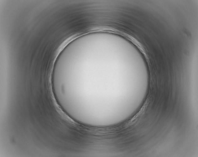 X0000115681330200911120939