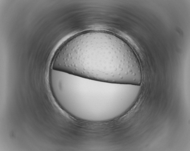 X0000115681331200911120939