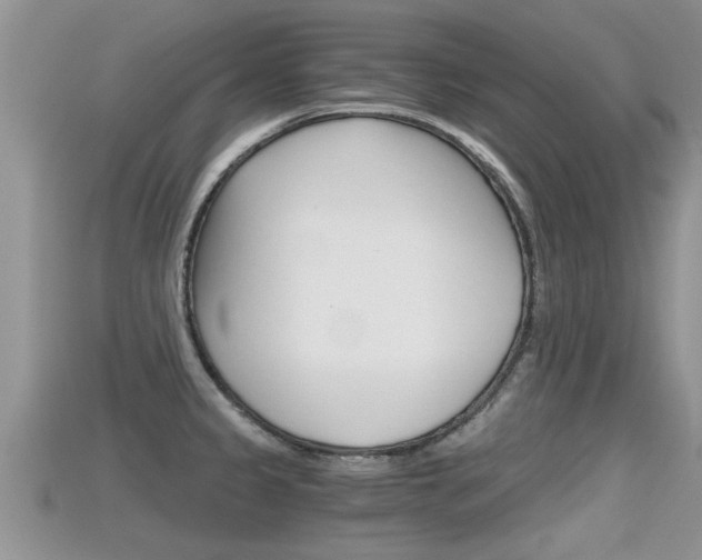 X0000115681333200911120939