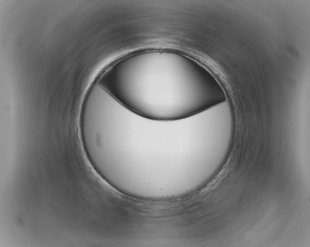 X0000115681334200911120939
